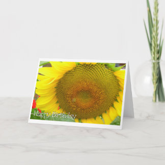 alles Gute zum Geburtstag der Sonnenblume Karte
