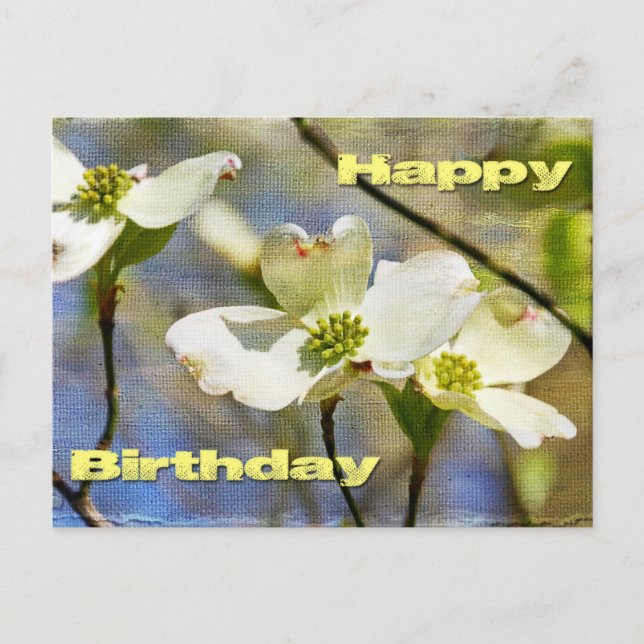 Alles Gute zum Geburtstag - Dogwood-Blüten Postkarte (Vorderseite)