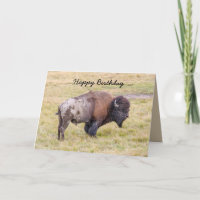 Alles Gute zum Geburtstag, Dusty Bison Bull Spaß
