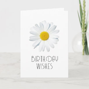 Alles Gute zum Geburtstag   Einzelne Daisy Karte