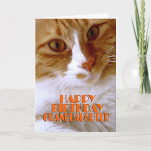 Alles Gute zum Geburtstag Enkelin - Süße Katze Karte