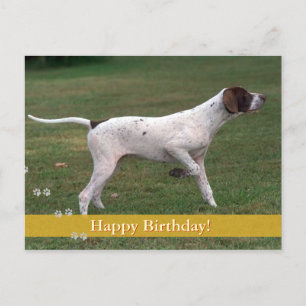 Alles Gute zum Geburtstag! Foto Postkarte