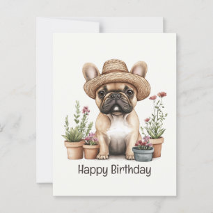 Alles Gute zum Geburtstag Französische Bulldogge G Postkarte