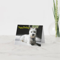 Alles Gute zum Geburtstag, freier Raum,