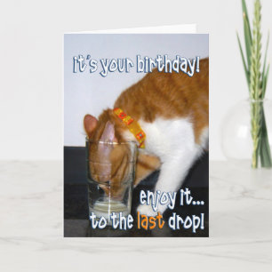 Alles Gute zum Geburtstag - Funny Cat Drink aus Gl Karte