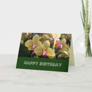 Alles Gute zum Geburtstag, gelbe Orchideenblüten Karte
