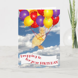 Alles Gute zum Geburtstag Gelbes Entlein Farbige B Karte