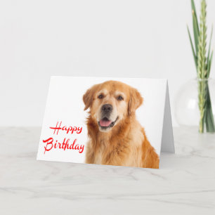 Alles Gute zum Geburtstag Golden Retriever Welpe H Karte