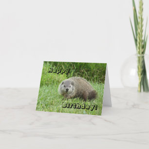 Alles Gute zum Geburtstag groundhog Karte