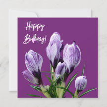 Alles Gute zum Geburtstag hübscher lila Krokus sch