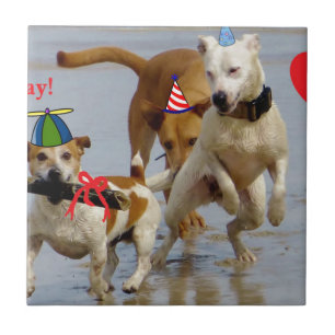 alles Gute zum Geburtstag Hunde Fliese