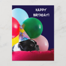 Alles Gute zum Geburtstag Hunde Humor mit Balloons Postkarte