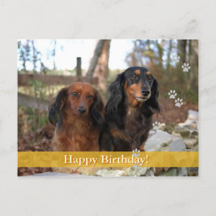 Alles Gute zum Geburtstag! - Hunde Postkarte