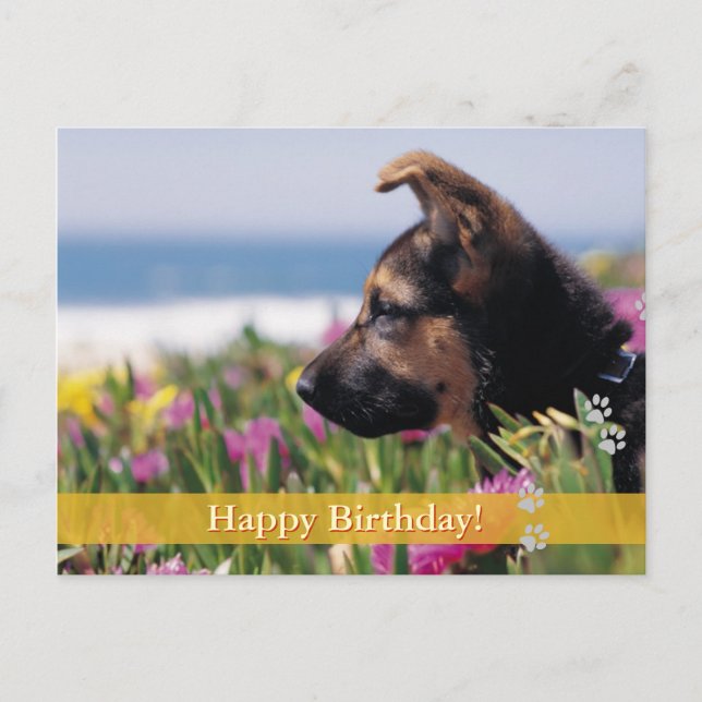 Alles Gute zum Geburtstag! - Hunde Postkarte (Vorderseite)