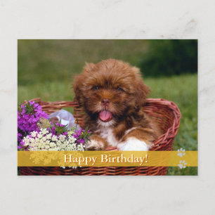 Alles Gute zum Geburtstag! - Hunde Postkarte