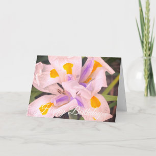 Alles Gute zum Geburtstag Iris-Blume Karte