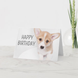 Alles Gute zum Geburtstag   Junger Corgi Welpe Karte