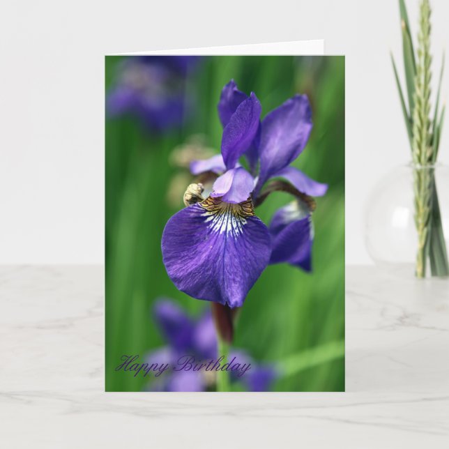 Alles Gute zum Geburtstag Karte (Vorderseite)