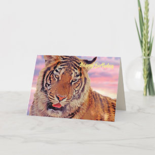 "Alles Gute zum Geburtstag"-Karte, Foto Tiger bei Karte