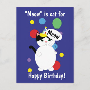 Alles Gute zum Geburtstag Katze Bunt Lustig Miauen Postkarte