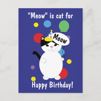 Alles Gute zum Geburtstag Katze Bunt Lustig Miauen Postkarte