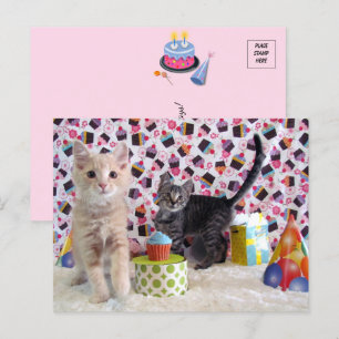 Alles Gute zum Geburtstag - Katzen-Postkarte Postkarte