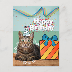 Alles Gute zum Geburtstag Katzenpostkarte Postkarte