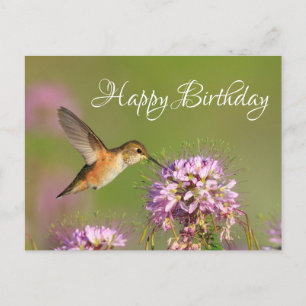 Alles Gute zum Geburtstag Kolibri Postkarte