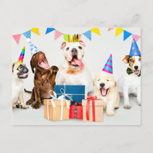 Alles Gute zum Geburtstag Liebenswerte Party-Tiere Postkarte