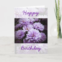 Alles Gute zum Geburtstag - Lila Haze Chrysantheme