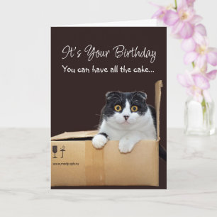 Alles Gute zum Geburtstag Lustige Katze Karte