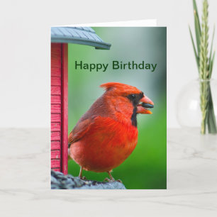 Alles Gute zum Geburtstag - männlicher Kardinal Karte