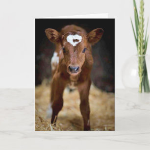 "ALLES GUTE ZUM GEBURTSTAG" meinem **BRUDER** Karte