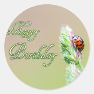 Alles Gute zum Geburtstag mit einem Ladybug! Runder Aufkleber