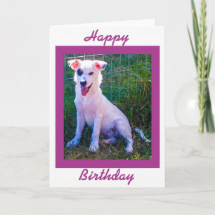 Alles Gute zum Geburtstag mit niedlichem Welpen Karte