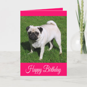 Alles Gute zum Geburtstag Mops Welpe Hund Grußkart Karte