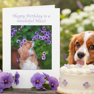 Alles Gute zum Geburtstag Nichte Cavalier King Cha Karte