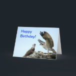 Alles Gute zum Geburtstag Ospreyflattern wings Karte<br><div class="desc">Fotografie eines Osprey oder des Falken, die seine Flügel mit die Wörter "alles Gute zum Geburtstag flattern! ", angezeigt auf der Front einer Karte. Innerhalb der Karte sagt "alles Gute zum Geburtstag zum beststen Bruder in der Welt!". --- Sie können den Text ändern, wenn Sie zu möchten. --- Fotografie ist...</div>