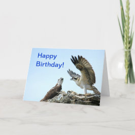 Alles Gute zum Geburtstag Ospreyflattern wings Karte