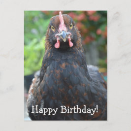 Alles Gute zum Geburtstag... Partridge Cochin Post Postkarte