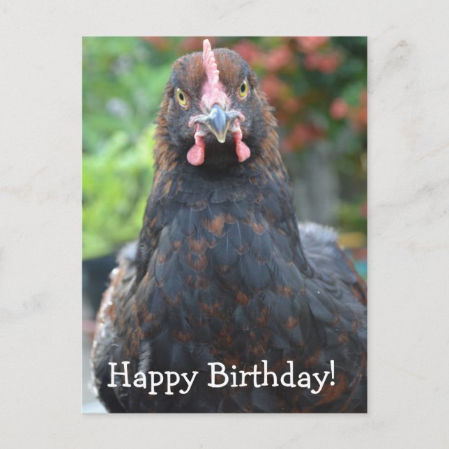 Alles Gute zum Geburtstag... Partridge Cochin Post Postkarte (Vorderseite)