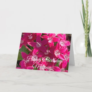 Alles Gute zum Geburtstag Pink Pixies Karte