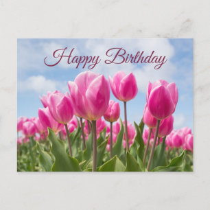 Alles Gute zum Geburtstag Pink Tulpen Blumen  Postkarte