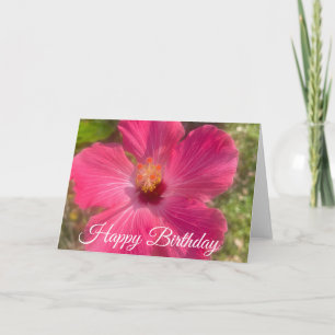 Alles Gute zum Geburtstag Pinker Hibiskus Blumen Karte