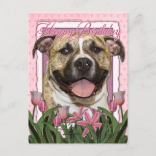 Alles Gute zum Geburtstag - Pitbull - Tigger Postkarte