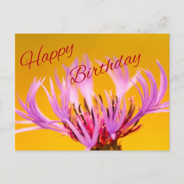 Alles Gute zum Geburtstag! Postkarte (Vorderseite)