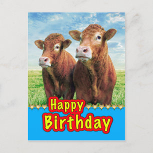 Alles Gute zum Geburtstag Postkarte