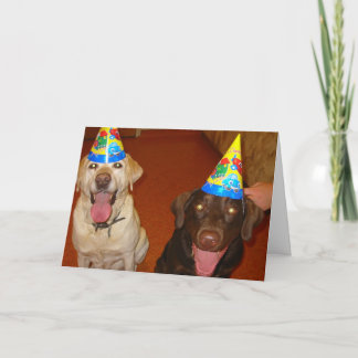 Alles Gute zum Geburtstag Prima und Jake Karte
