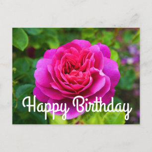 Alles Gute zum Geburtstag Prinzessin Anne Rose #1  Postkarte