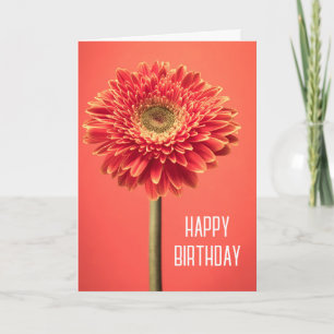 Alles Gute zum Geburtstag   Rote Barberton Gerbera Karte
